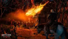 The Witcher 3: Wild Hunt GotY